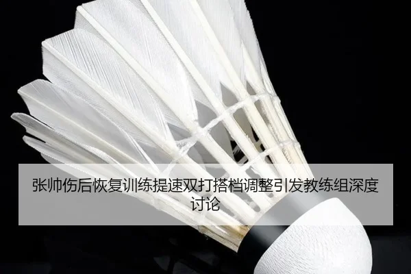 张帅伤后恢复训练提速双打搭档调整引发教练组深度讨论